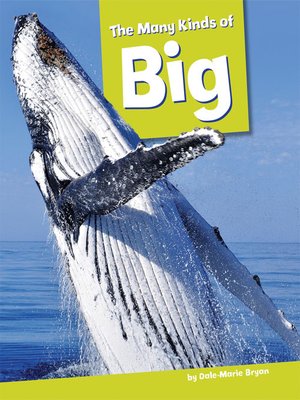 cover image of The Many Kinds of Big